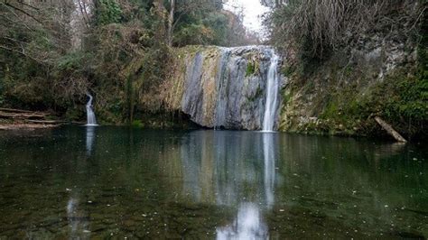 gorg de la plana|Gorg de la Plana, Les Planes d’Hostoles (Girona,。